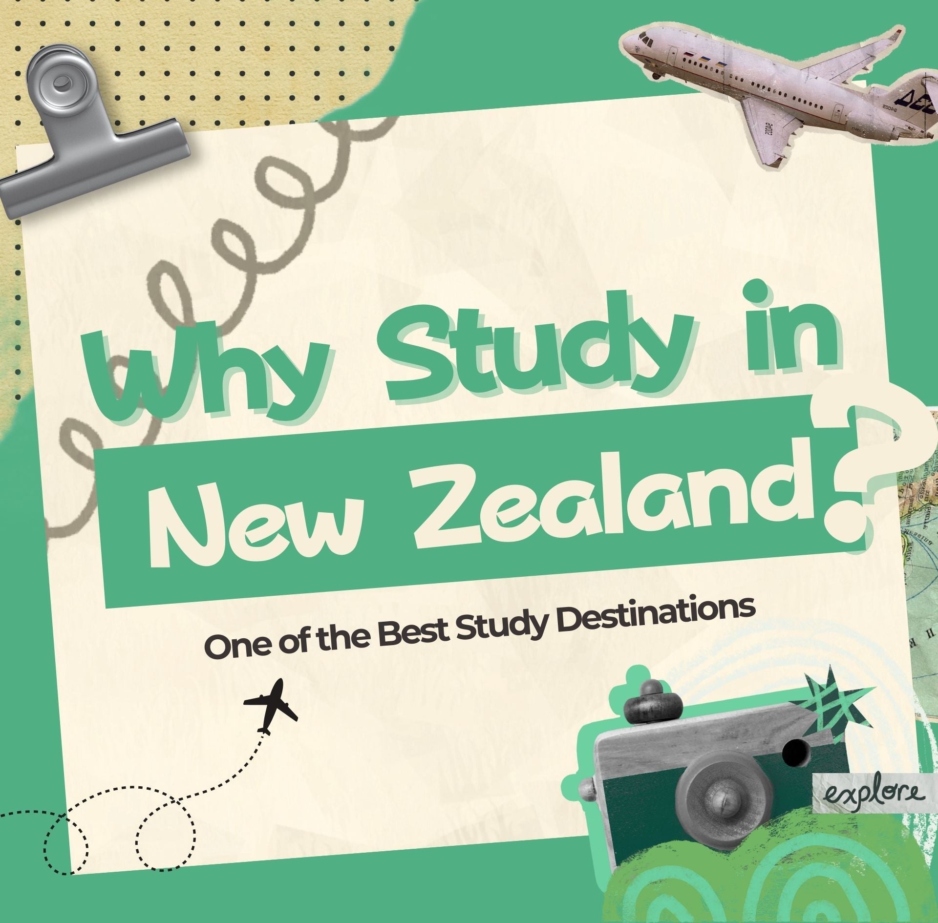 why study in new zealand
